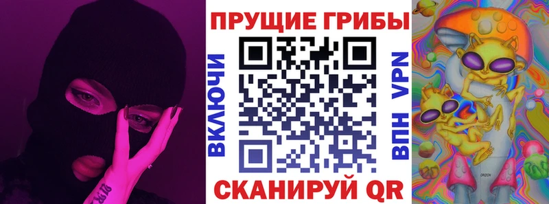 Купить где  Змеиногорск  Галлюциногенные грибы Psilocybe 